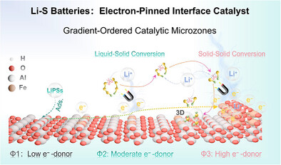 Graphical abstract: electron-pinned interface engineering with gradient-ordered catalytic microzones for lithium–sulfur batteries