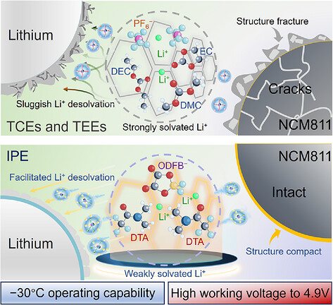 Graphical abstract: intramolecular polarization–mediated solvation for low-temperature high-voltage lithium metal batteries